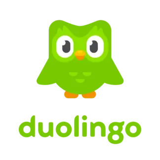 Can You Actually Learn a Language with Duolingo?