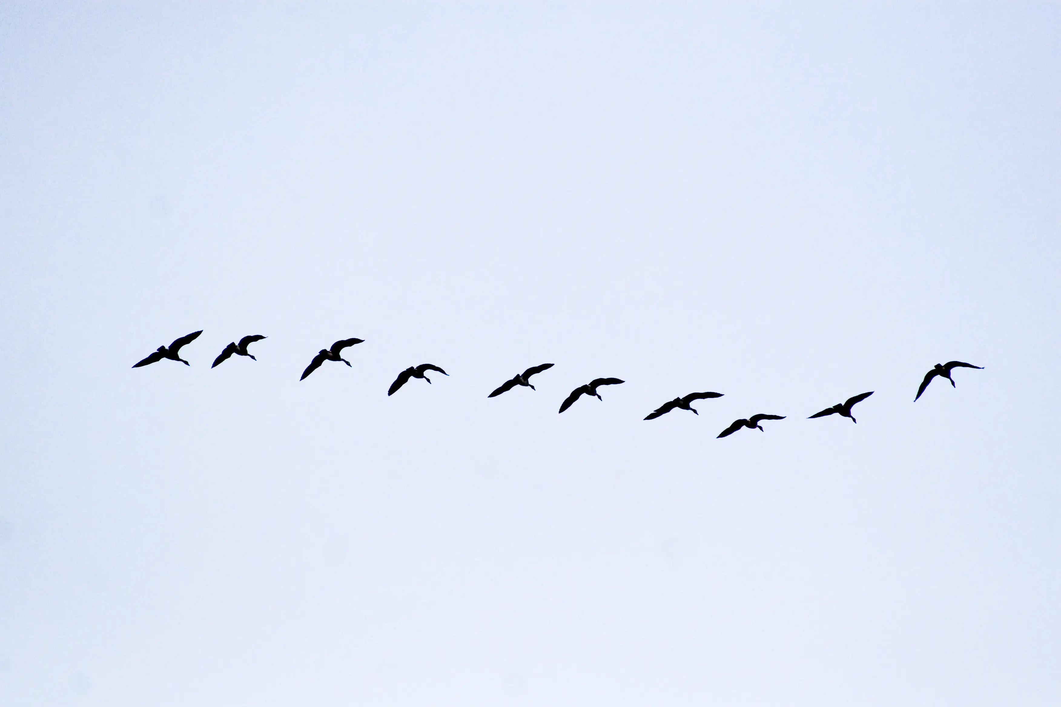 Africa’s Factories - Foreign Investment From China